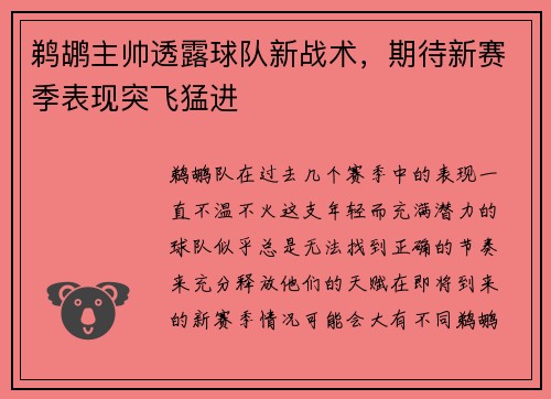 鹈鹕主帅透露球队新战术，期待新赛季表现突飞猛进